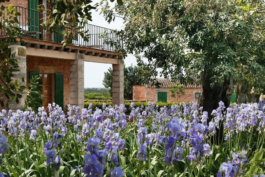 Casa Rural Son Bernadinet 캄포스 외부 사진